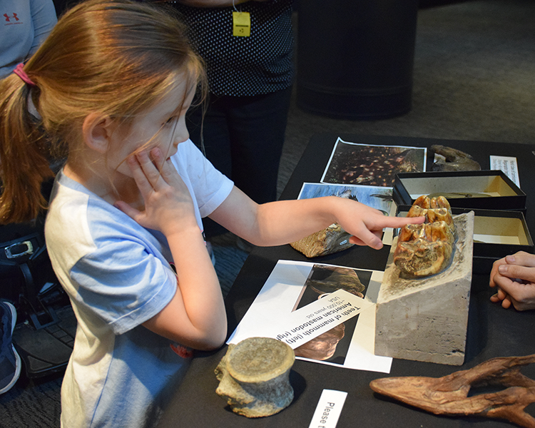 A girl looking at a specimen