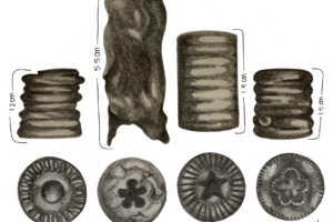 When Nature Meets Art: Crinoid Fossils as Cultural Beads