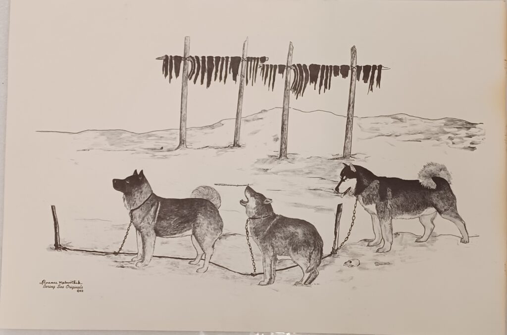 black and white drawing of three huskies