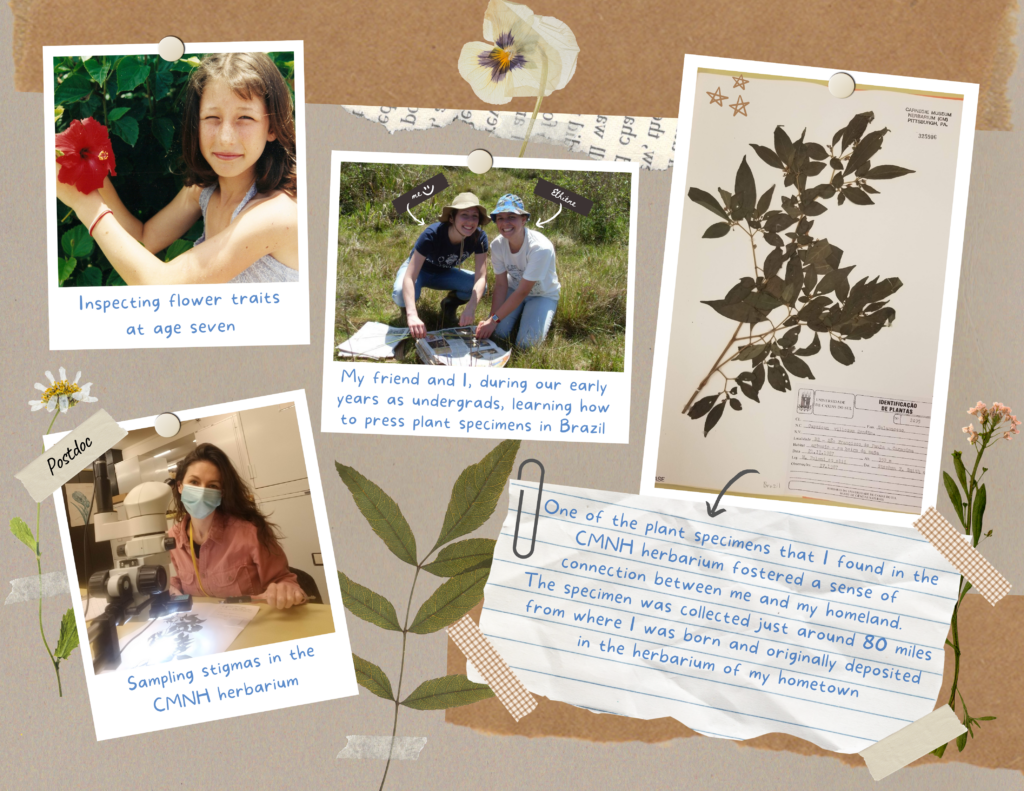 Collage of images, clockwise from top left: the author inspecting flower traits and age seven; the author and her friend during their early yeas as undergrads, learning how to press plant specimens in Brazil; an herbarium specimen with the following note from the author "On of the plant specimens that I found in the CMNH herbarium fostered a sense of connection between me and my homeland. The specimen was collected just around 80 miles from where I was born and originally deposited in the herbarium of my hometown"; the author sampling stigmas in the herbarium