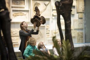 person holding dinosaur bones