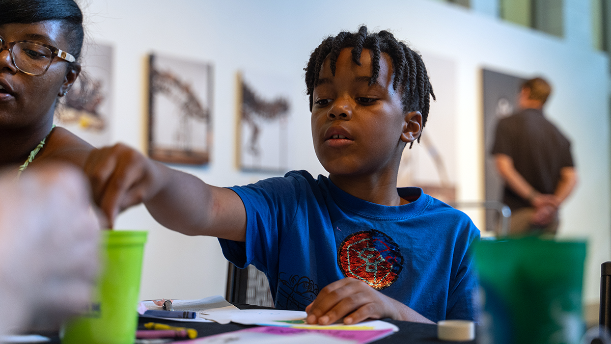 A child colors at a table in the museum