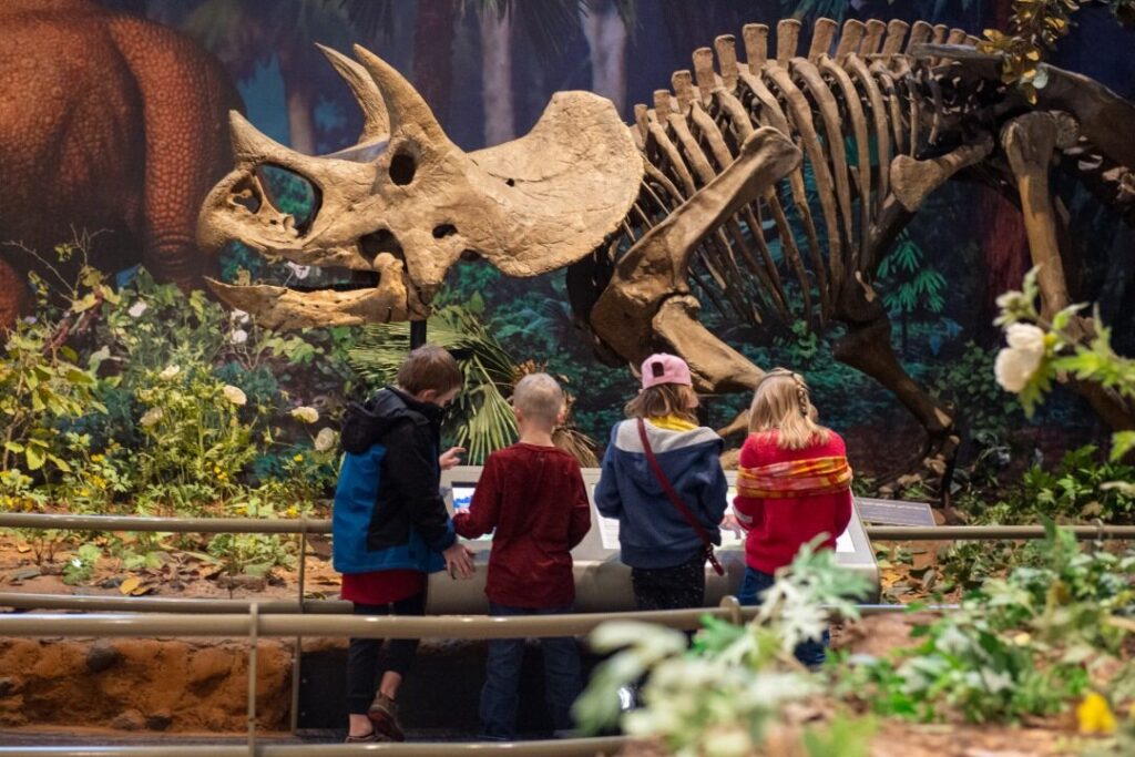 children looking at dinosaur bones