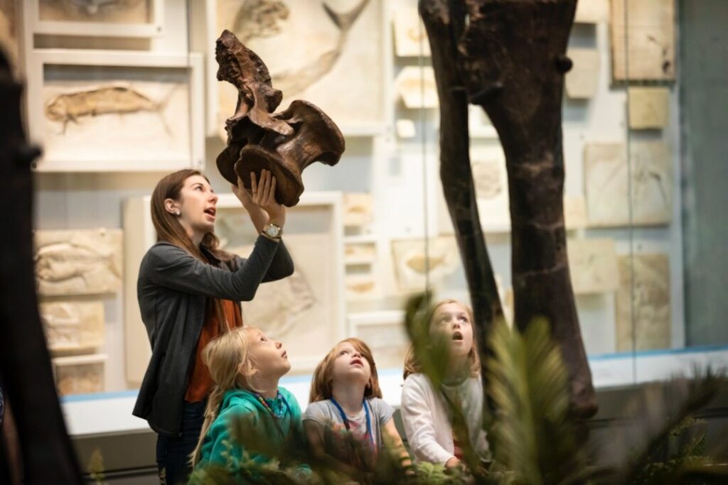 people look at dinosaur bones