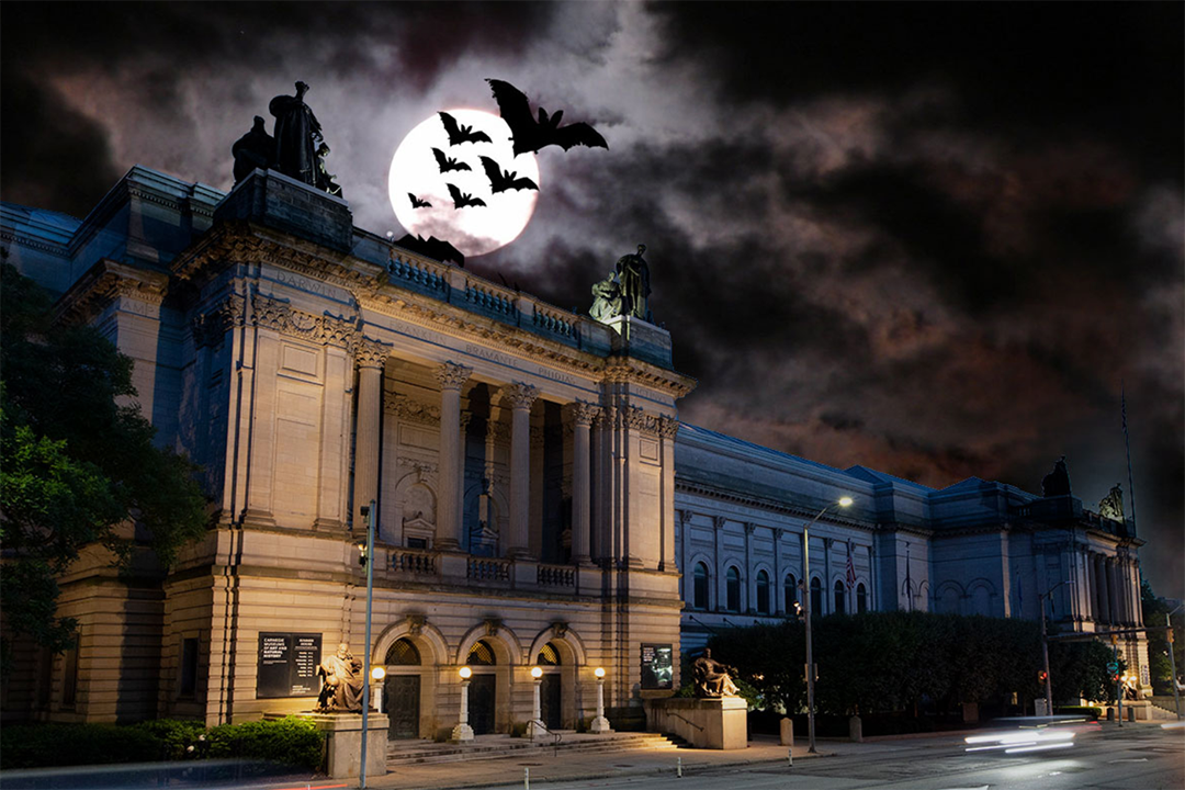 Exterior of the museum with bats in the sky