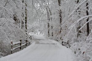 snowtrail at powdermill nature reserve