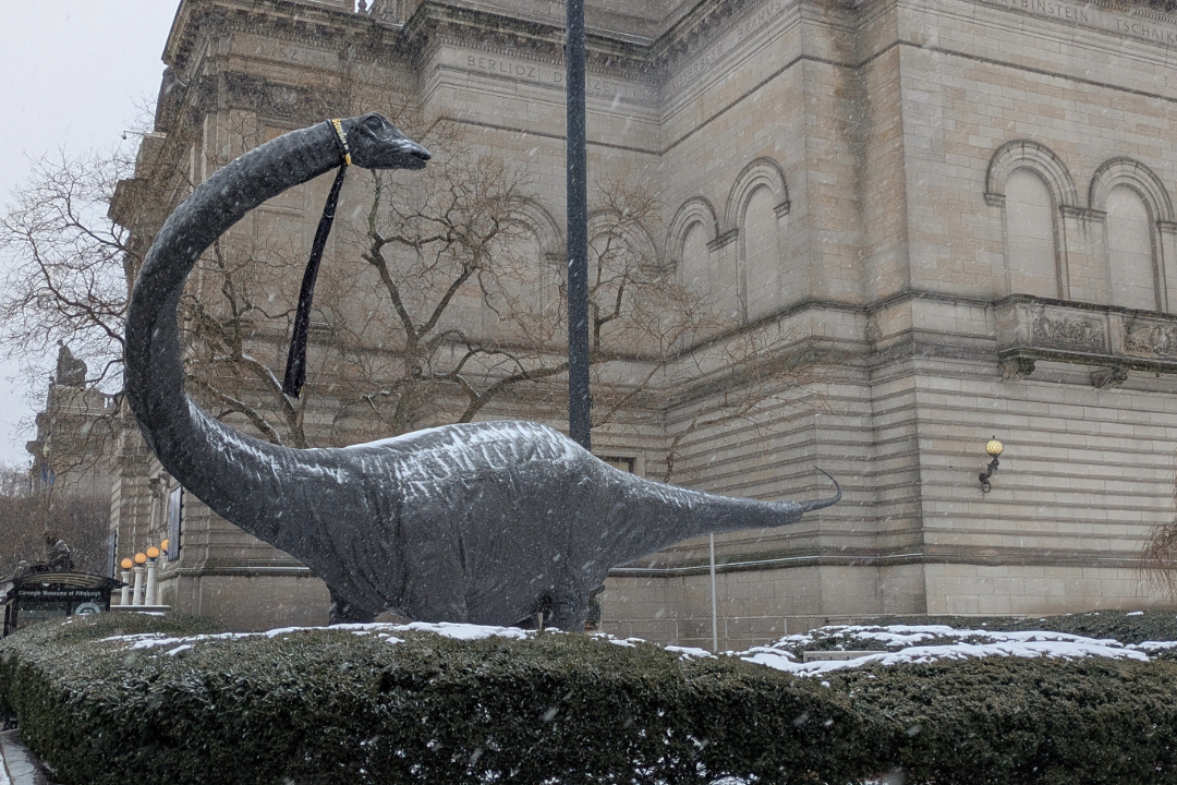 Dippy in the snow