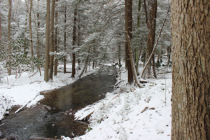 winter landscape of a creek at powdermill nature reserve