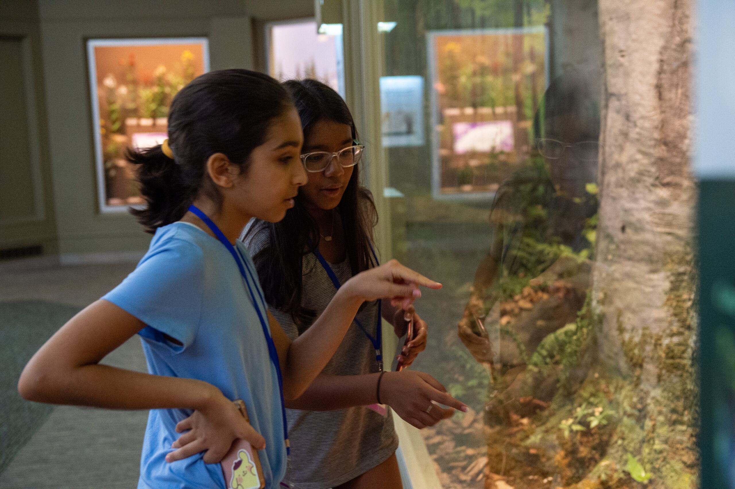 teens looking at a botany exhibit in a museum