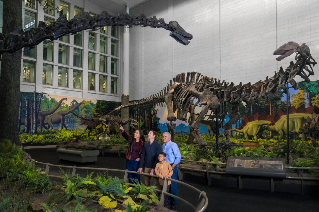 family admiring dinosaur fossils