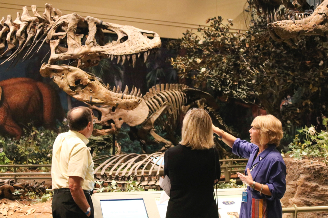 people pointing at dinosaur bones