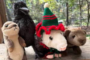 Jolly Opossum characters