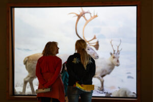 people looking at a caribou exhibition