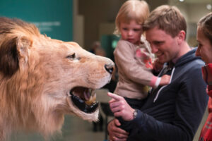 family looking at a taxidermy lion