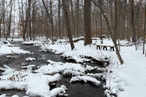 snowy stream