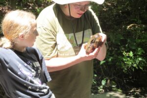 two people looking at a rock