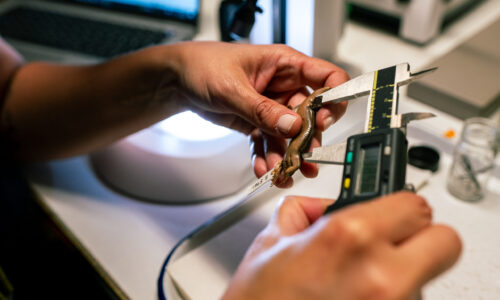 A New Exhibition Endorses Old Advice 