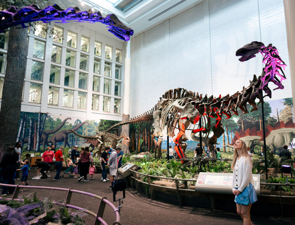 person looking at Dippy fossil with other people and fossils in the background