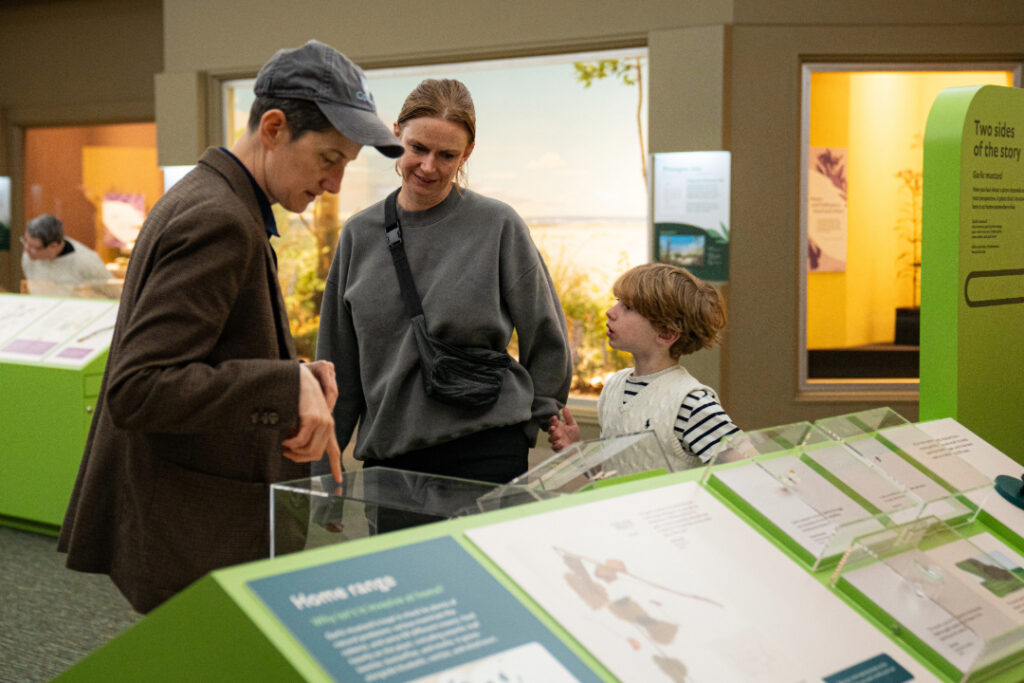 family looking at a museum exhibit