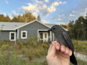 bird on persons hand