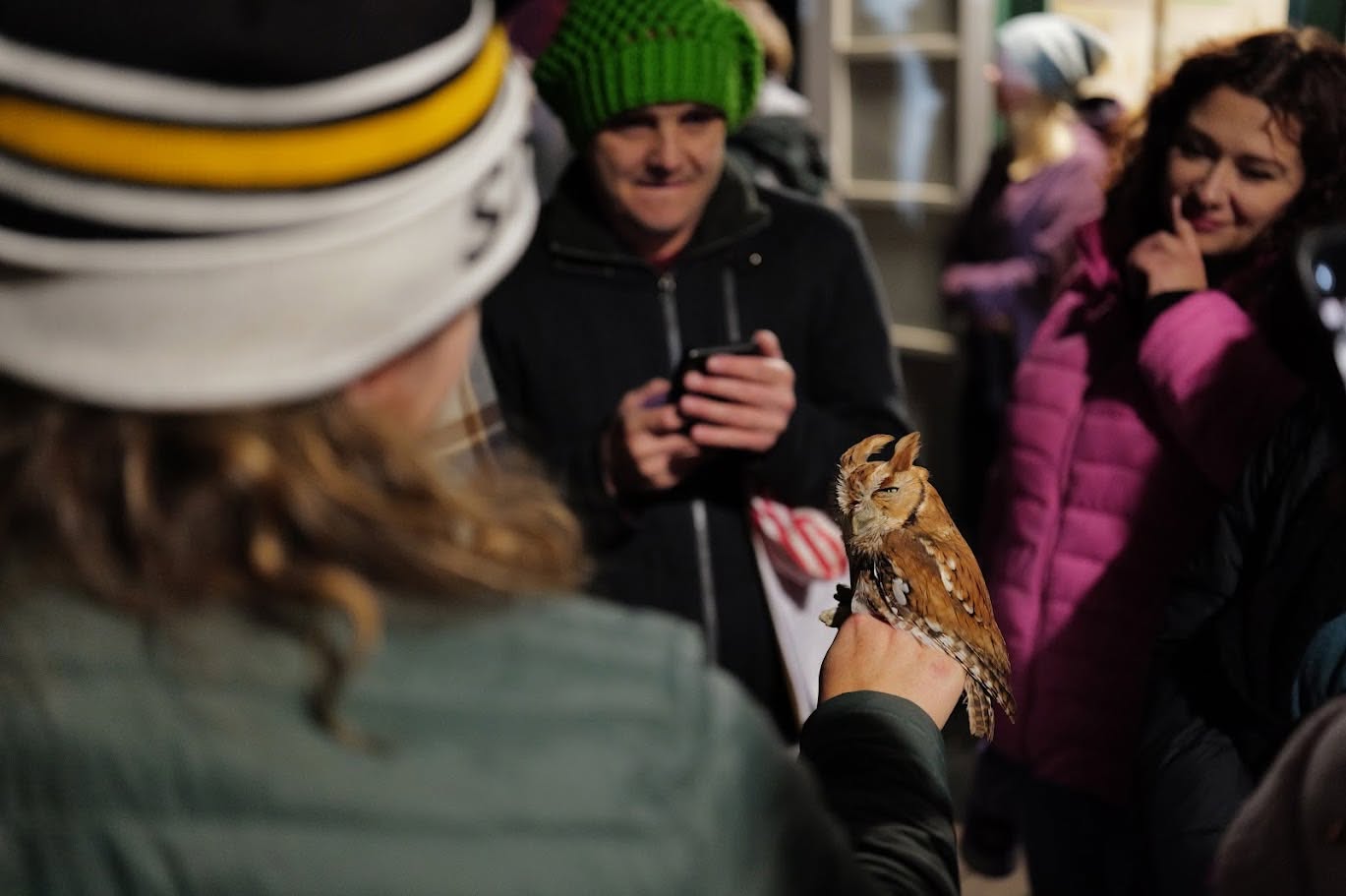people surrounding person holding owl