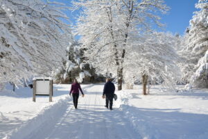 snowy december walk at the powdermill nature reserve