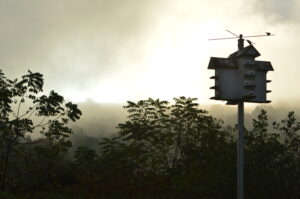 luxurious birdhouse