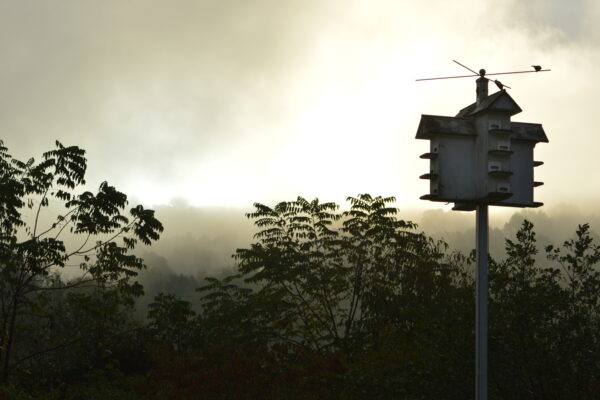 luxurious birdhouse