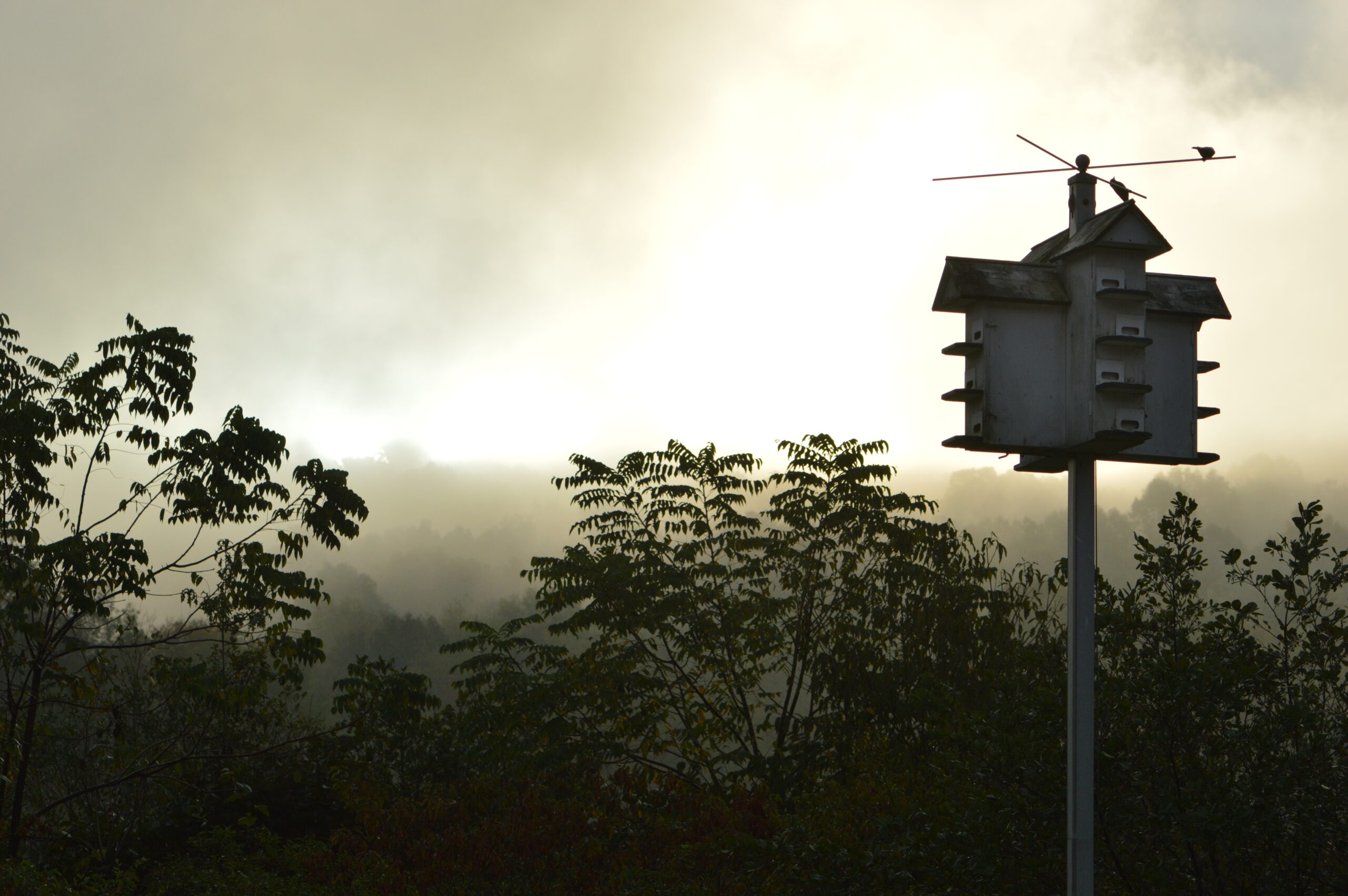 luxurious birdhouse