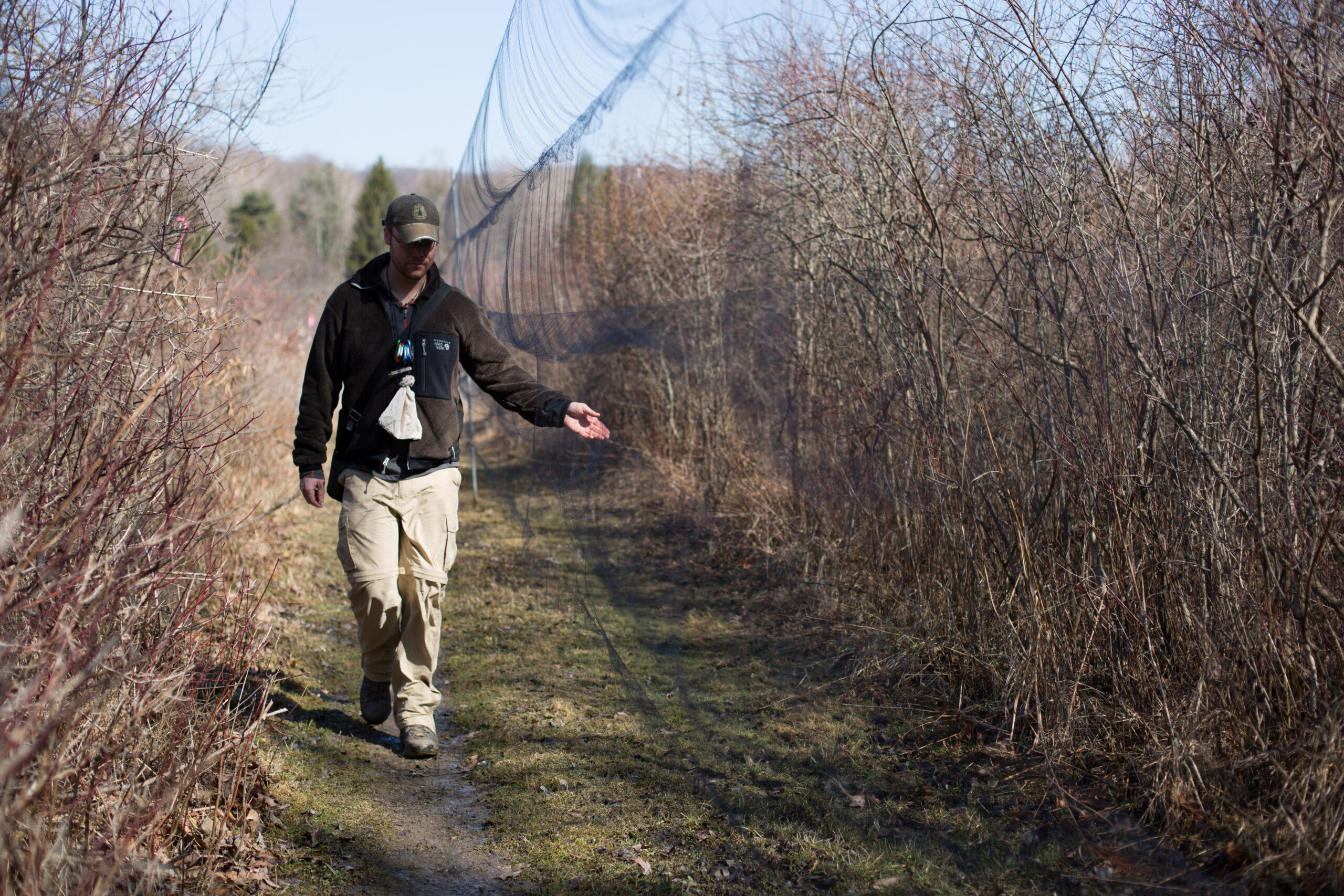 person walking netted trail